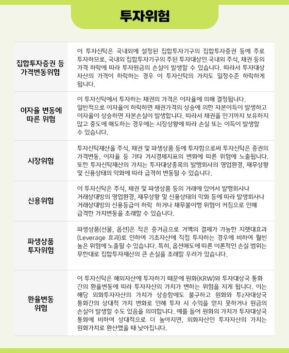 'kb 디딤 다이나믹 자산배분' 펀드의 주요 투자 위험요소들